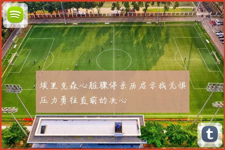 埃里克森心脏骤停亲历启示我无惧压力勇往直前的决心