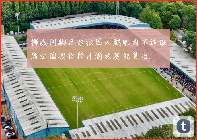 挪威国脚吕尔松因大腿肌肉不适缺席法国战役预计淘汰赛能复出