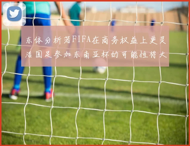 东体分析若FIFA在商务权益上更灵活国足参加东南亚杯的可能性将大增